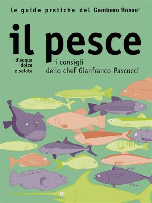 Cover of the book Il pesce - Le guide pratiche del Gambero Rosso by Associazione i Ristoranti della Tavolozza