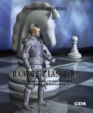 Cover of the book Il cavaliere, la strega e... Antologia di racconti fantasy e fantastici by Danilo Bottiroli