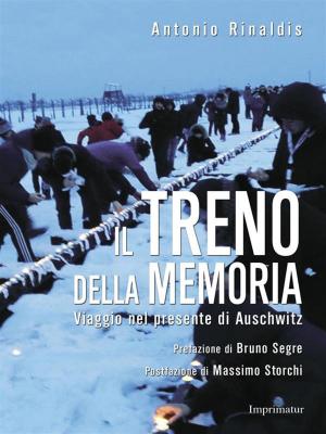 Cover of the book Il treno della memoria by Ezio Aldoni, Giuseppe Caleffi