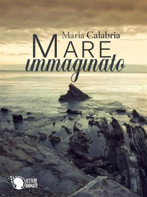 Cover of the book Mare Immaginato by Simona Bagnato