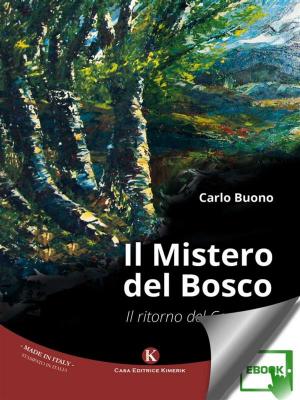 Cover of the book Il Mistero del Bosco by Corrado Leoni