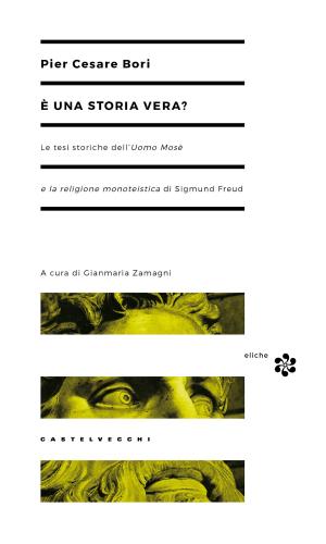 Cover of the book È una storia vera? by Pierre Rosanvallon