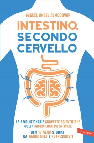 Cover of the book Intestino, secondo cervello by Rafael Lorite Santandreu