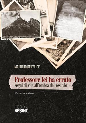 Cover of the book Professore lei ha errato by Roberto Dameri
