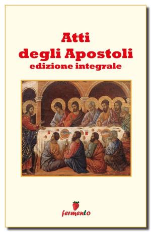 Cover of the book Atti degli Apostoli by Sant'Agostino