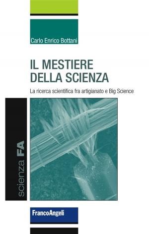 Cover of the book Il mestiere della scienza. La ricerca scientifica fra artigianato e Big Science by Paolo Meazzini