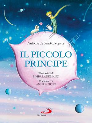 Book cover of Il piccolo principe