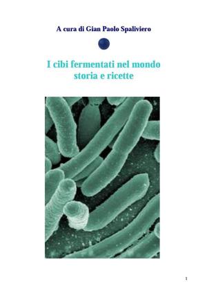 Book cover of I cibi fermentati nel mondo - Storia e ricette