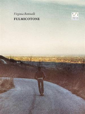 Book cover of Fulmicotone English Version