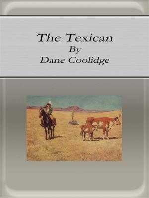 Book cover of The Texican