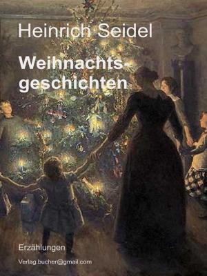 Book cover of Weihnachtsgeschichten