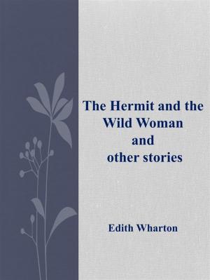 Book cover of The Hermit and the Wild Woman and other stories