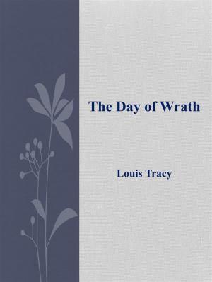 Cover of the book The Day of Wrath by Qwantu Amaru