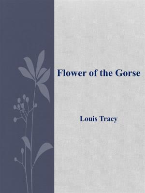 Book cover of Flower of the Gorse