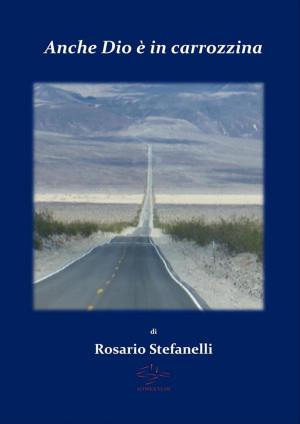 Cover of the book Anche Dio è in carrozzina by Rosario Stefanelli, ROSARIO STEFANELLI