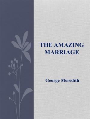 Book cover of The Amazing Marriage