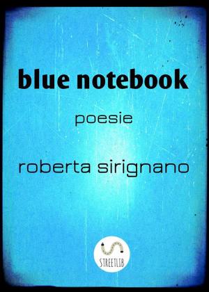 Cover of the book Blue Notebook by John Beach