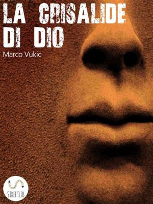 Cover of the book La Crisalide di Dio by Martin Roth