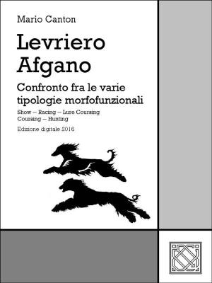 Book cover of Levriero Afgano - Afghan Hound