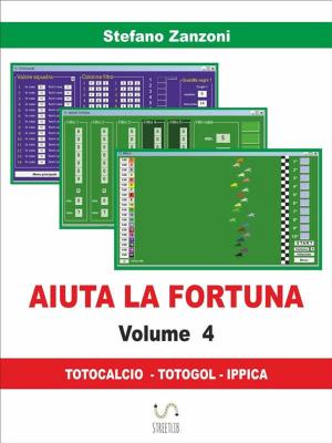 Book cover of Aiuta la fortuna vol. 4