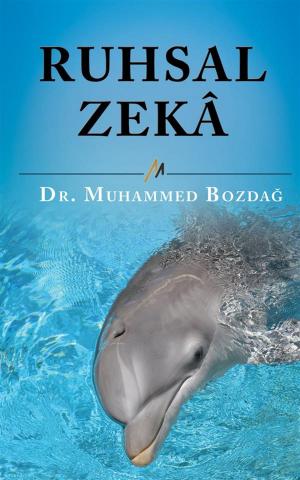 Cover of the book Ruhsal Zeka by Steve Smith