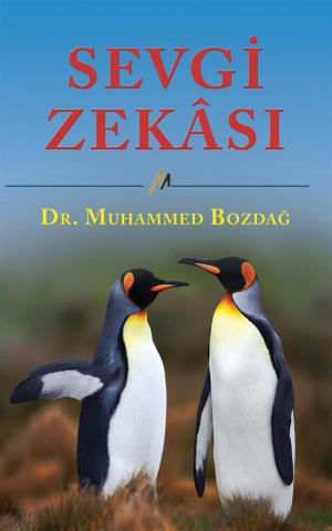 Cover of the book Sevgi Zekasi by Sera Johnston