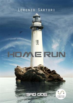 Cover of the book Home Run by Kelly Ferguson