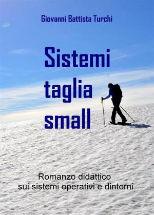 Cover of the book Sistemi taglia small by Pat Black