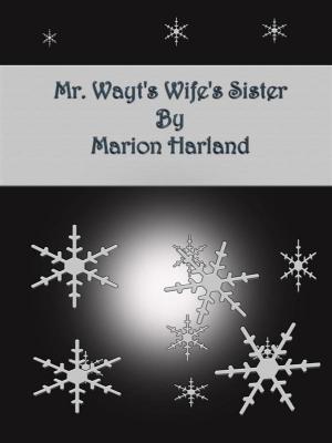 Book cover of Mr. Wayt's Wife's Sister