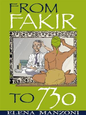 Cover of the book From Fakir to 730 by Joseph Riggio