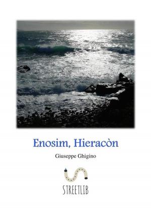 Cover of the book Enosim, Hieracòn by Jules Verne, Léon Benett, Édouard Riou