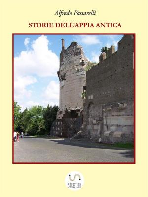 bigCover of the book Storie dell'Appia Antica by 
