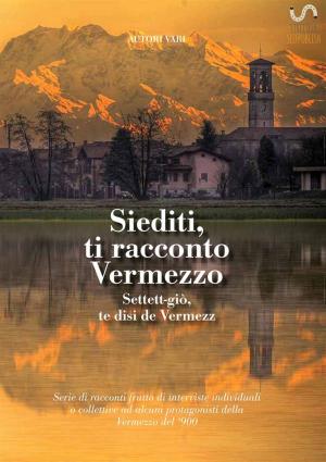 Cover of the book Siediti, ti racconto Vermezzo by Steve Dustcircle