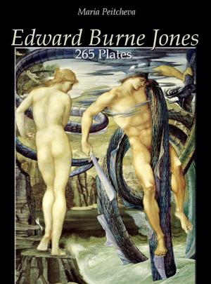 Cover of the book Edward Burne Jones: 265 Plates by Sébastien Bailly