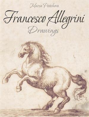 Book cover of Francesco Allegrini: Drawings