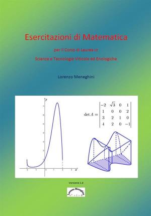 Book cover of Esercitazioni di Matematica
