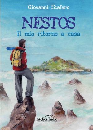 Cover of the book Nestos - Il mio ritorno a casa by Frank Norris