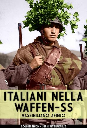 Book cover of Italiani nella Waffen-SS