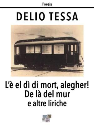 Cover of the book L'è el dì di mort, alegher! by Sant'Agostino