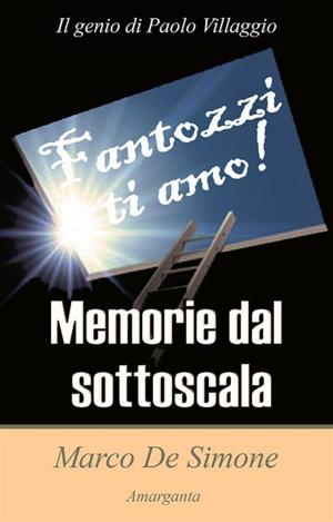 Cover of the book Memorie dal sottoscala by Manuela Chiarottino