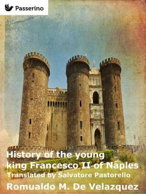 Cover of the book History of the young king Francesco II of Naples by Antonio Ferraiuolo
