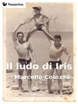 Cover of the book Il ludo di Iris by Euripide