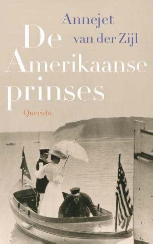 Cover of the book De Amerikaanse prinses by Arnaldur Indridason