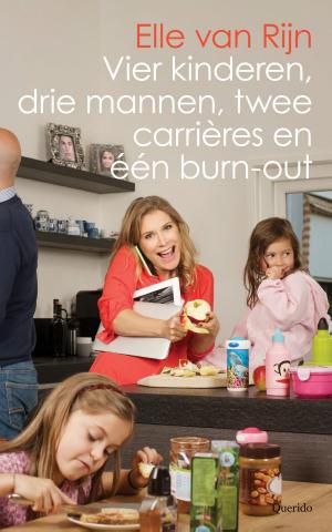 Cover of the book Vier kinderen, drie mannen, twee carrières en één burn-out by Ties Teurlings