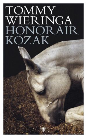 Cover of the book Honorair kozak by Tommy Wieringa