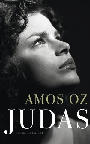 Cover of the book Judas by Willem Frederik Hermans