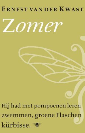 Cover of the book Zomer by Willem Frederik Hermans