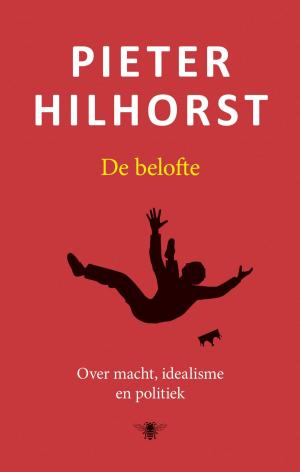 Cover of the book De belofte by Marten Toonder