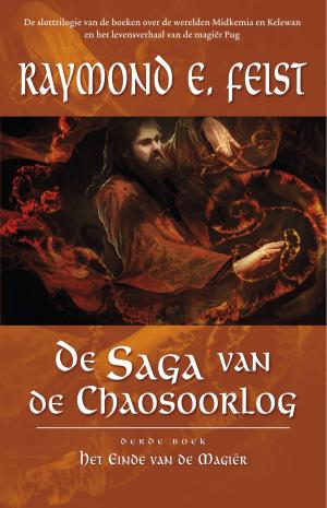 Cover of the book Het einde van de magiër by Markus Heitz