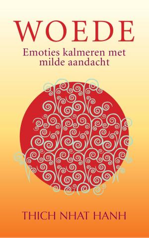 Cover of the book Woede by Margreet Maljers